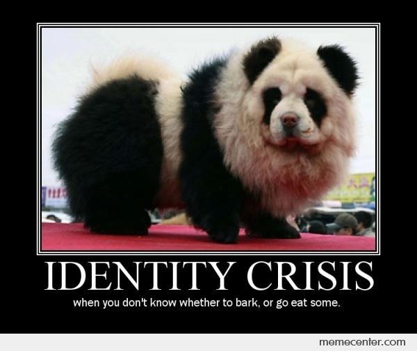 Identity-Crisis_o_17203
